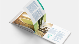 Guia Jornalistas | Secom Governo Federal